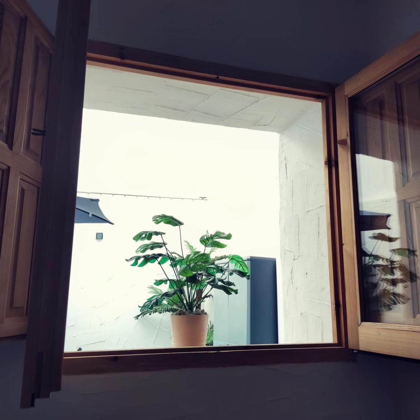 Apartamento La Lola - Patio Privado Jerez de la Frontera Ngoại thất bức ảnh